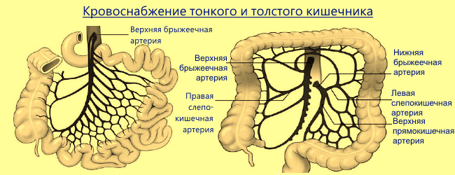 Кровообращение